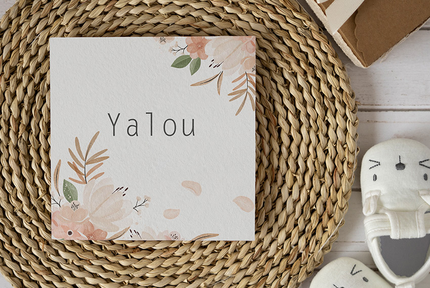 Geboortekaartje ontwerp Noord-Holland